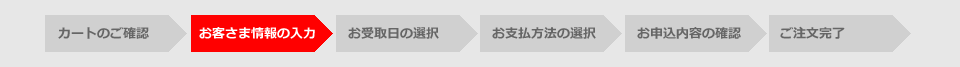ご登録メールアドレスの入力